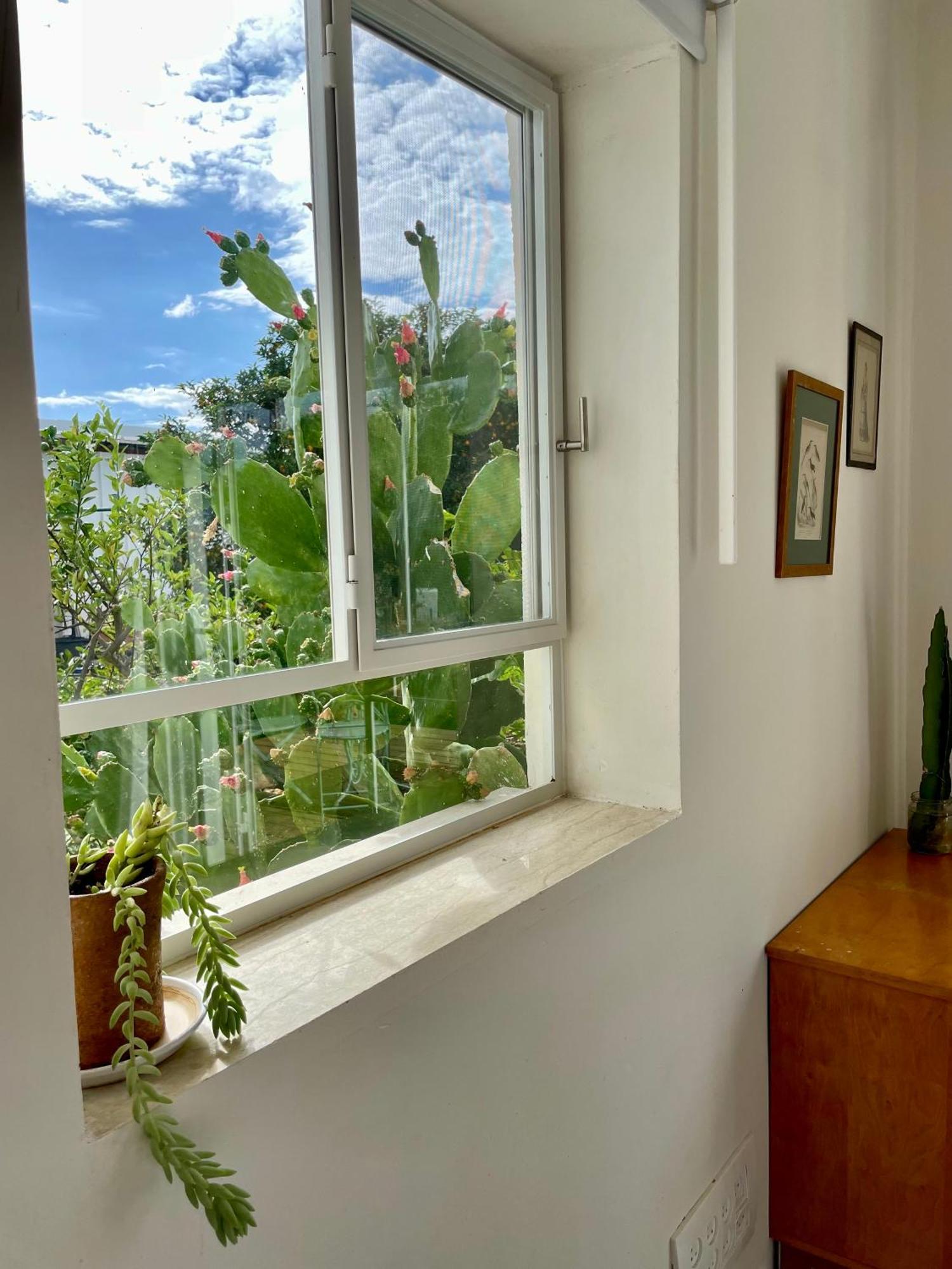 Vila בקתות האס ואטינגר Geva Carmel Exteriér fotografie